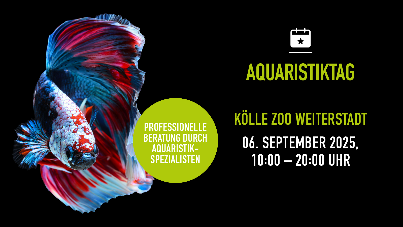 Kw36 0609 Aquatag Weiterstadt Mobile